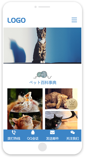 网站建站模板:日文-猫咪