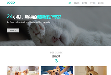 网站建站模板:宠物医院