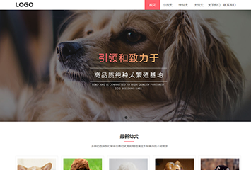 网站建站模板:纯种犬基地