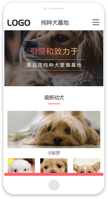 网站建站模板:纯种犬基地