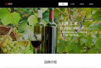 网站建站模板:洋酒