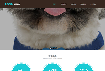 网站建站模板:宠物公司