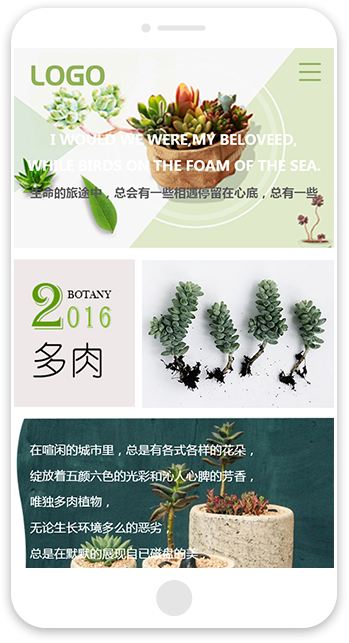网站建站模板:多肉植物
