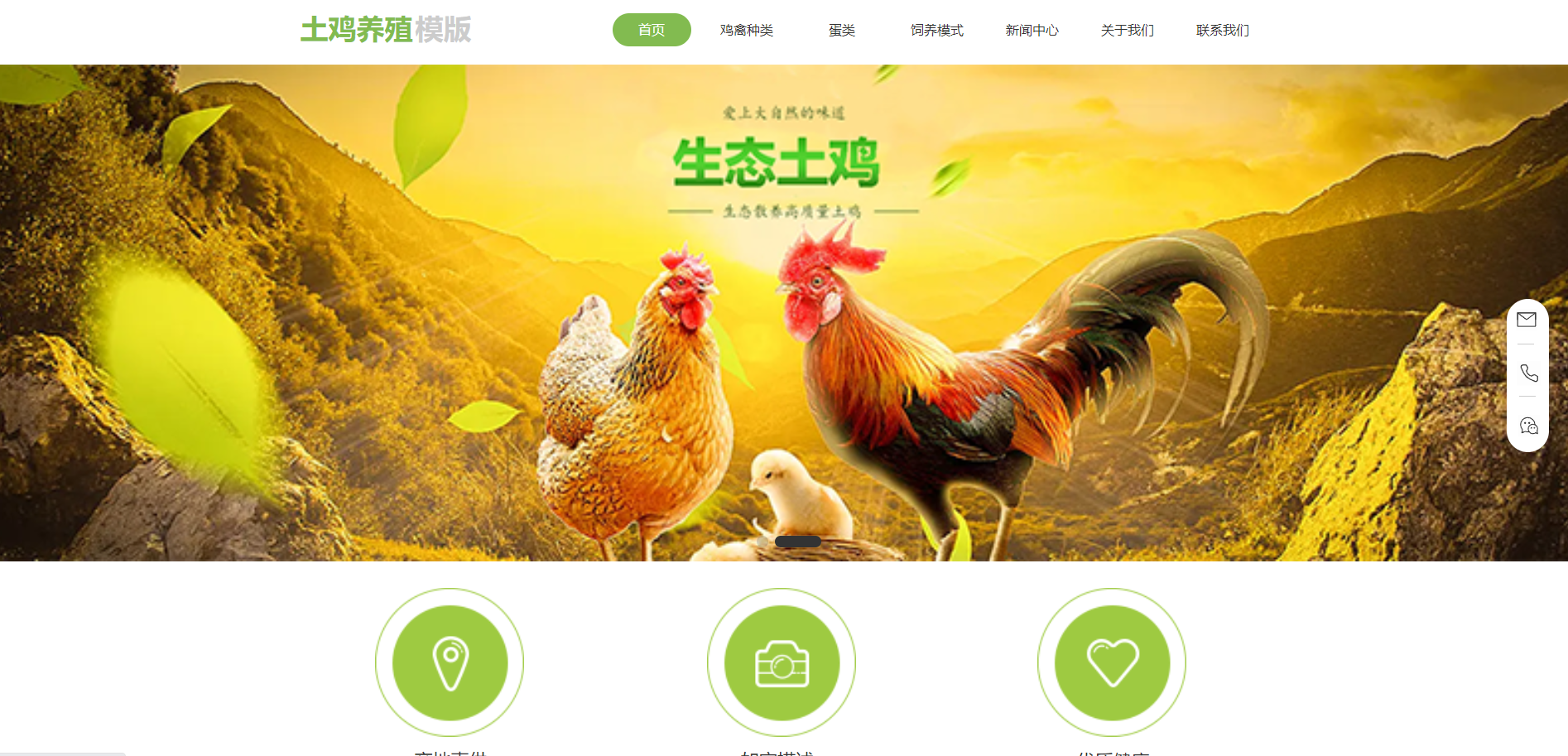 土鸡养殖模版网站模板桌面预览