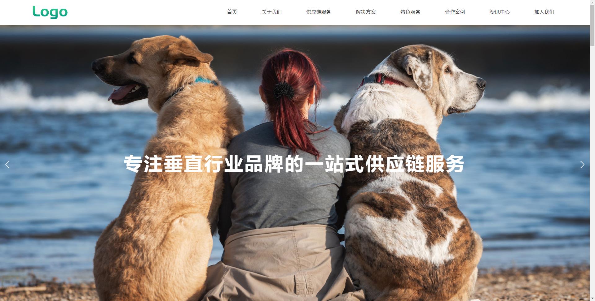 垂直行业供应链AI网站范本网站模板桌面预览